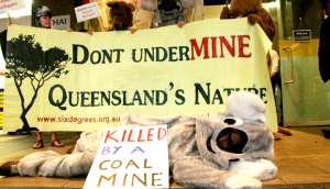 Animals used to close coal office in Queensland Protest against mine